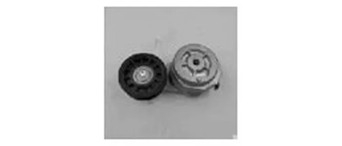 Volvo Belt Tensioner OE 20461113